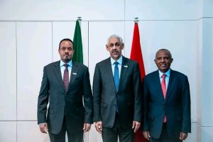 Read more about the article ኢትዮጵያ እና የአፍሪካ ልማት ባንክ አጋርነታቸውን ለማጠናከር እንደሚሰሩ ገለጹ