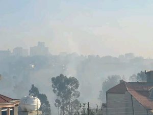 Read more about the article በየዓመቱ በህዳር ወር ላይ ቆሻሻን የማቃጠል ተግባር ከማጽዳት ይልቅ አከባቢን መበከል ነው