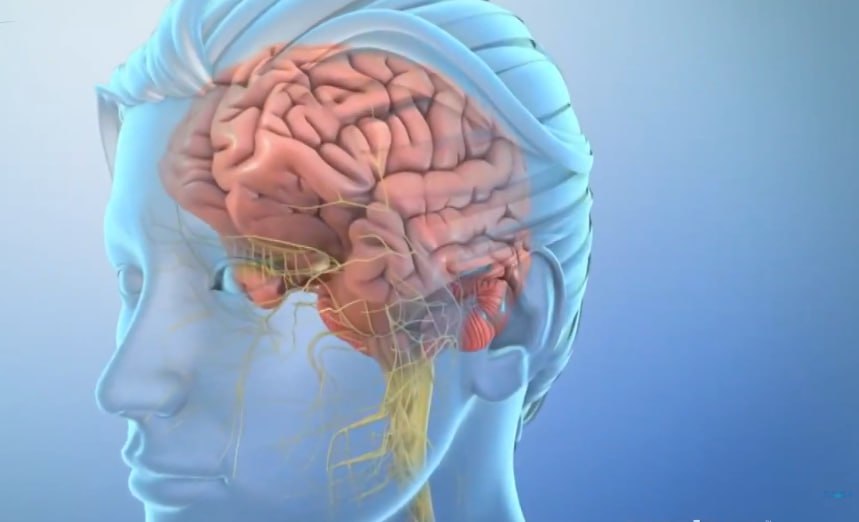 You are currently viewing ስለማይግሪን ህመም መንስኤዎች፣ ምልክቶች፣ ህክምና እና መከላከያ ምን ያውቃሉ?