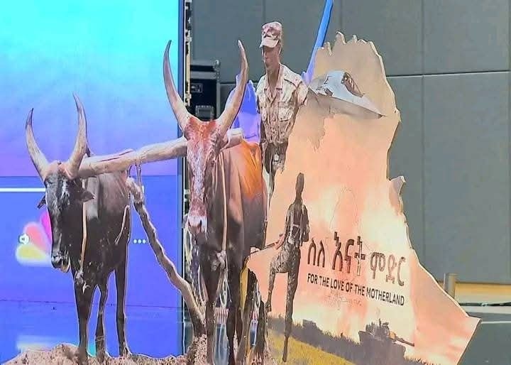 You are currently viewing “ስለ እናት ምድር” ፊልም አህጉራዊ ሽልማት አገኘ