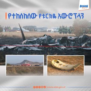 Read more about the article በትንሹ 20 ሰዎችን ጭኖ የነበረዉ የተርክዬ ወታደራዊ የጭነት አውሮፕላን ተከሰከሰ