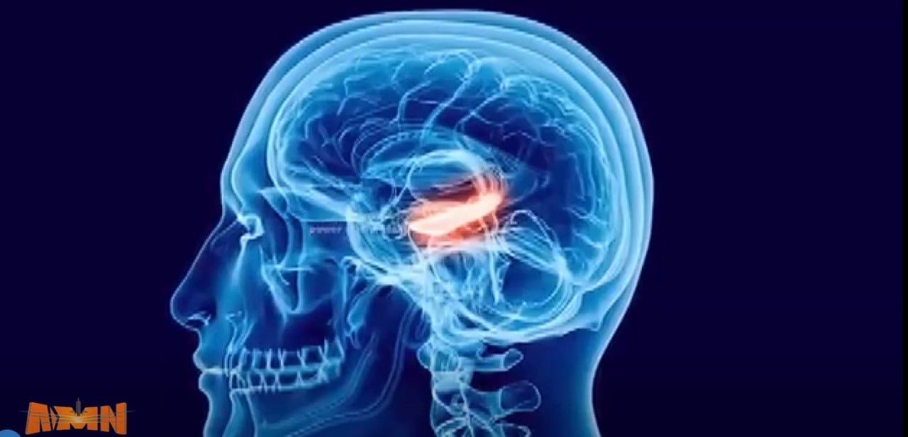 You are currently viewing የመርሳት ህመም እንዴት ይከሰታል? የህመሙ ምልክቶች እና ህክምናውስ?