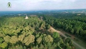 Read more about the article ተፈጥሮን ጠብቆ ለትውልድ የማስተላለፍ ጥበብ “የጉርዳ” ስርዓት በጉራጌ