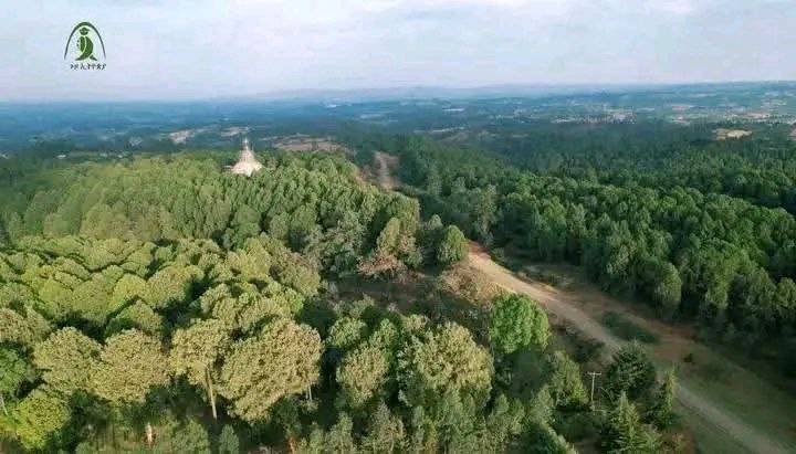 You are currently viewing ተፈጥሮን ጠብቆ ለትውልድ የማስተላለፍ ጥበብ “የጉርዳ” ስርዓት በጉራጌ