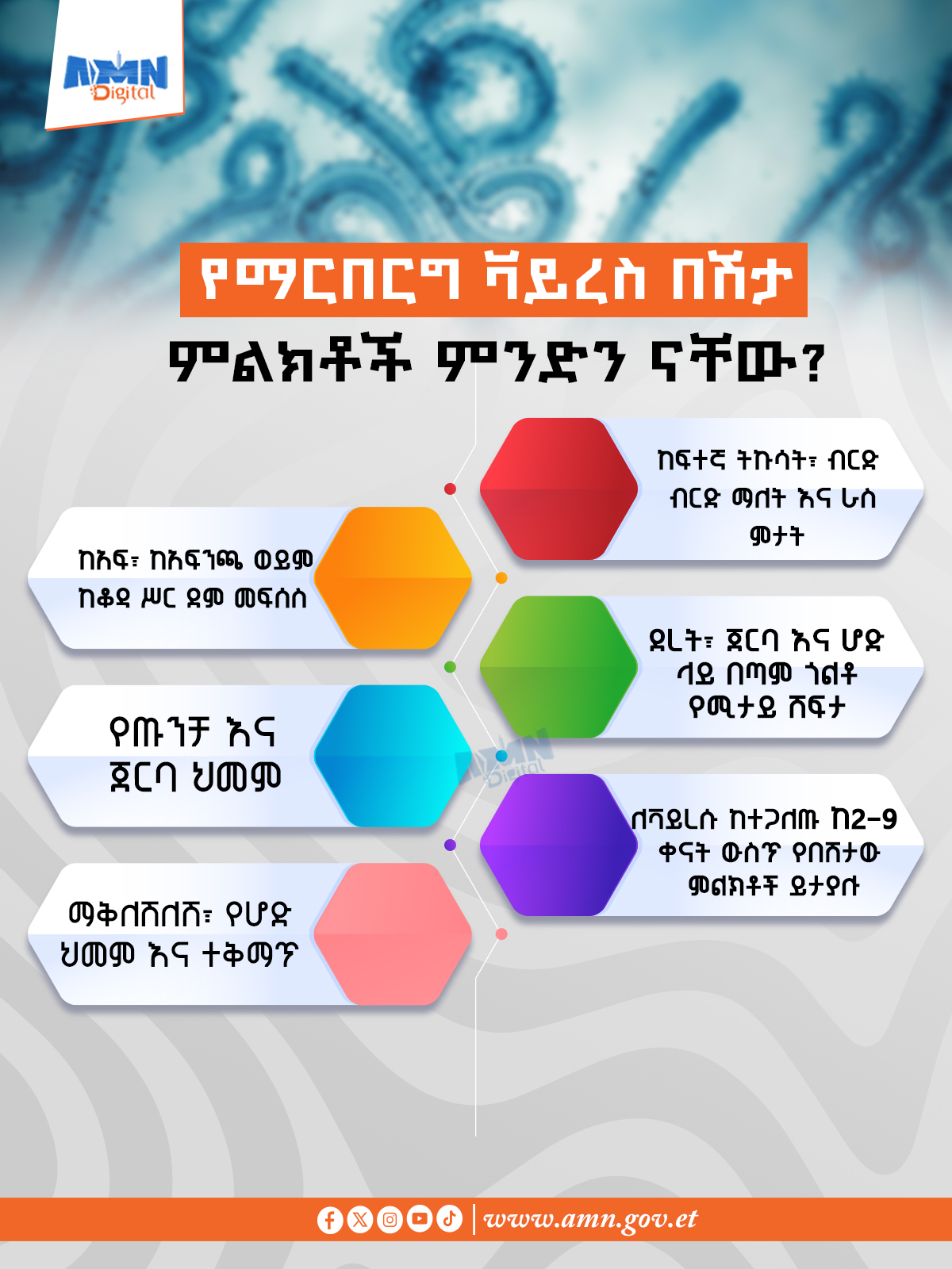 You are currently viewing የማርበርግ ቫይረስ በሽታ ምልክቶች ምንድን ናቸው?