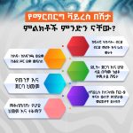 Read more about the article የማርበርግ ቫይረስ በሽታ ምልክቶች ምንድን ናቸው?