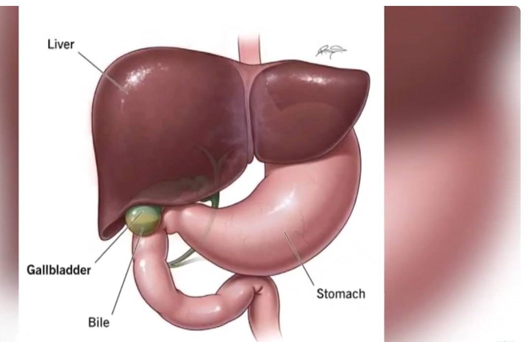You are currently viewing ስለ ሀሞት ጠጠር በሽታ መንስኤ፣ ምልክቶችና ህክምናው ምን ያህል ያውቃሉ?