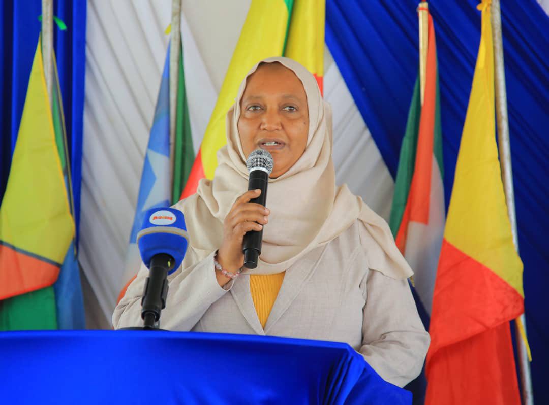 You are currently viewing የብሔሮች ፣ ብሔረሰቦችና ህዝቦች ቀንን ስናከብር ሁሉንም ባካተተና በእኩልነት ሊሆን ይገባል