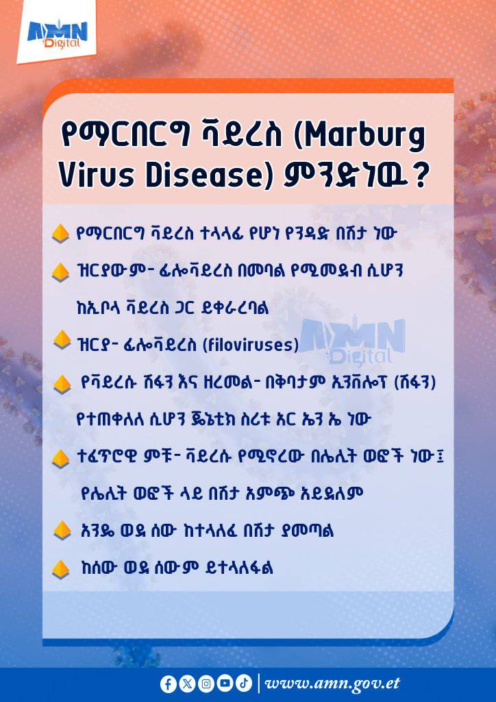 You are currently viewing የማርበርግ ቫይረስ በሽታ ምንድነዉ?