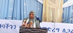 Read more about the article በሃገሪቱ ጠንካራ፣ ዘላቂና እውነተኛ የዲሞክራሲ እና የመድብለ ፓርቲ ስርዓት ለመገንባት የፖለቲካ ፓርቲዎች ከፍተኛ ድርሻ አላቸው