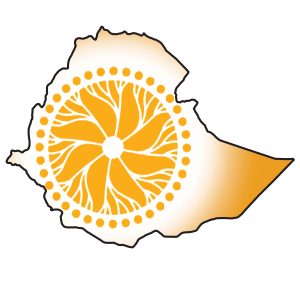 Read more about the article “በ2018 ዓ.ም የሀገራዊ ምክክሩ ቀሪ ስራዎችንለማጠናቀቅ እቅድ ተይዞ እየተሰራ ነው”