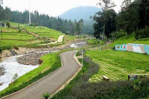 Read more about the article የወንዝ ዳርቻ ልማቱ ፍሬ