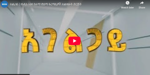 Read more about the article አገልጋይ | የአዲስ አበባ ከተማ የከነማ ፋርማሲዎች አገልግሎት ድርጅት