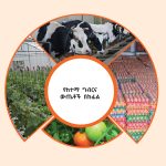 Read more about the article ከሸማችነት ወደ አምራችነት