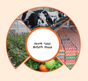 Read more about the article ከሸማችነት ወደ አምራችነት