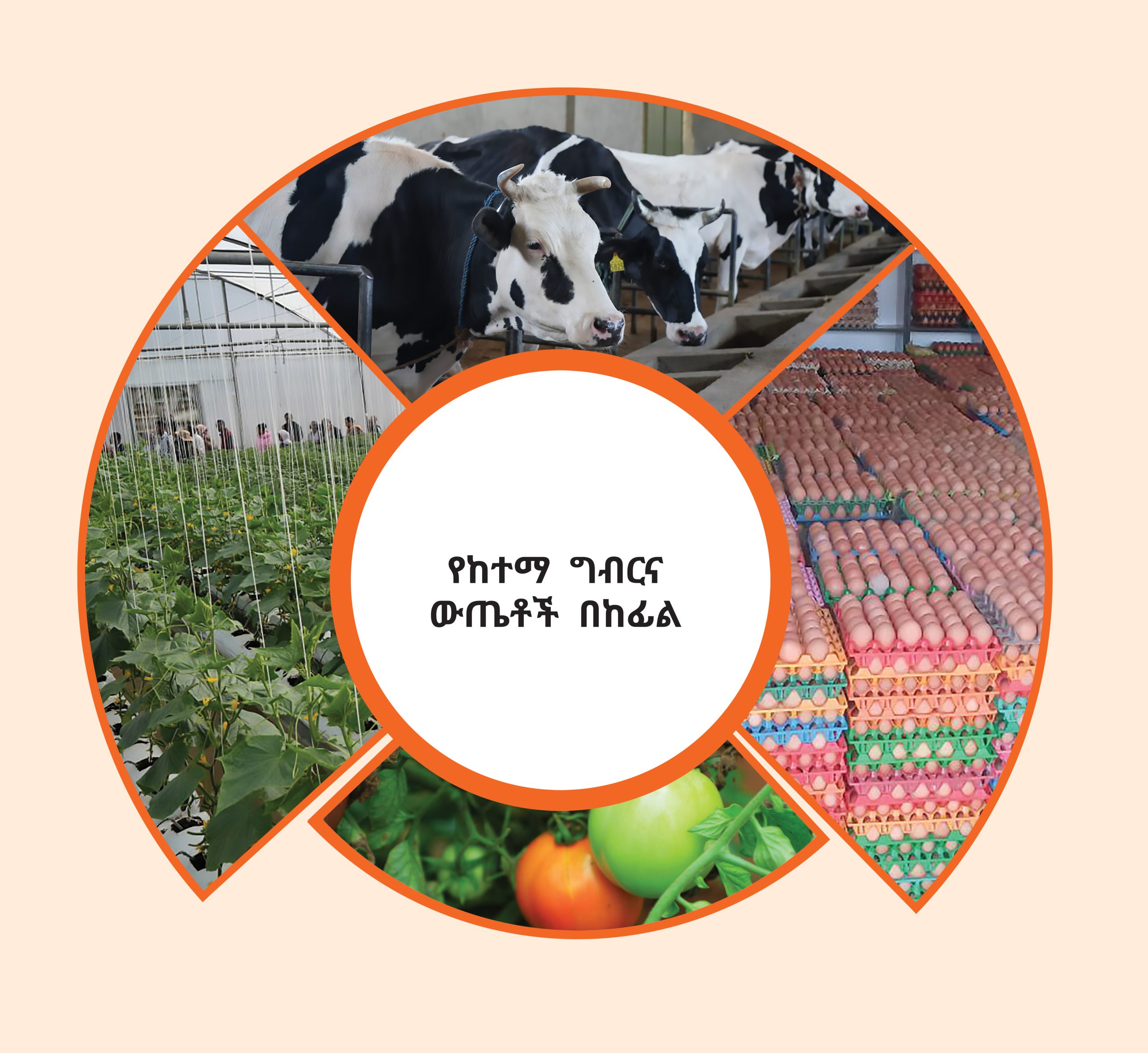 You are currently viewing ከሸማችነት ወደ አምራችነት