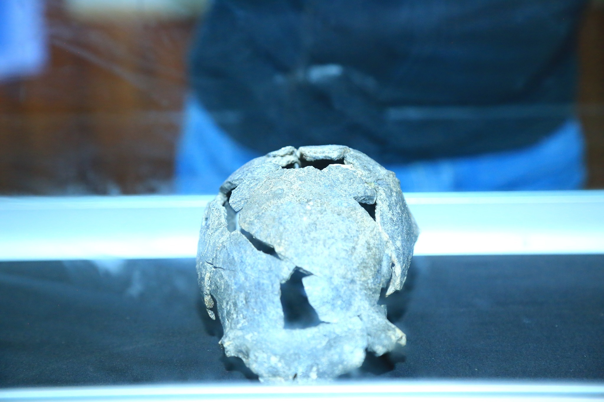 You are currently viewing ከ 1 ነጥብ 5 ሚሊዮን በላይ ዓመታት እድሜ እንዳስቆጠረ የሚገመት የሰዉ ቅሪተ አካል ተገኘ