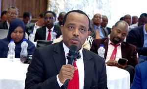 Read more about the article ተቋማት ሰላምን የዕቅዳቸው አካል በማድረግ ለሰላም ግንባታ አሻራቸውን ማስቀመጥ አለባቸው