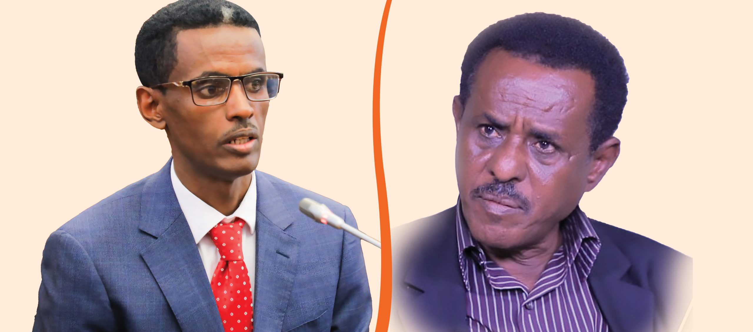 You are currently viewing የጋራ ጥረትን የሚሻው የባሕር በር ጥያቄ