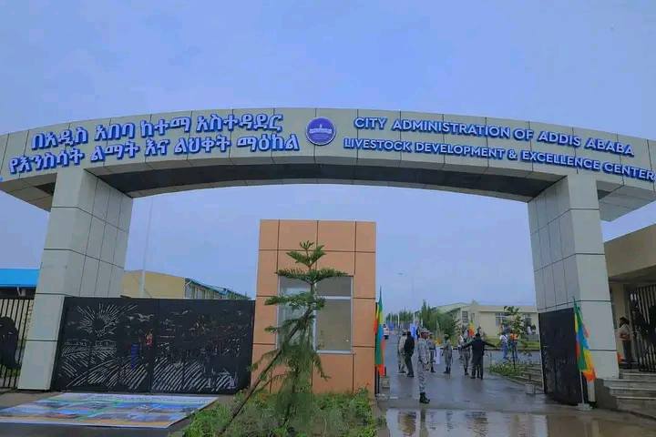 You are currently viewing አዲስ ከሸማችነት ወደ አምራችነት