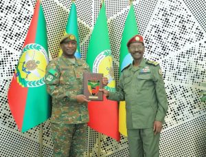 Read more about the article ኢትዮጵያና ዛምቢያ በወታደራዊ መስክ በትብብር ለመሥራት ተስማሙ