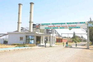 Read more about the article ወንጂ ስኳር ፋብሪካ ከዛሬ ጀምሮ ስኳር የማምረት ሥራውን ይጀምራል