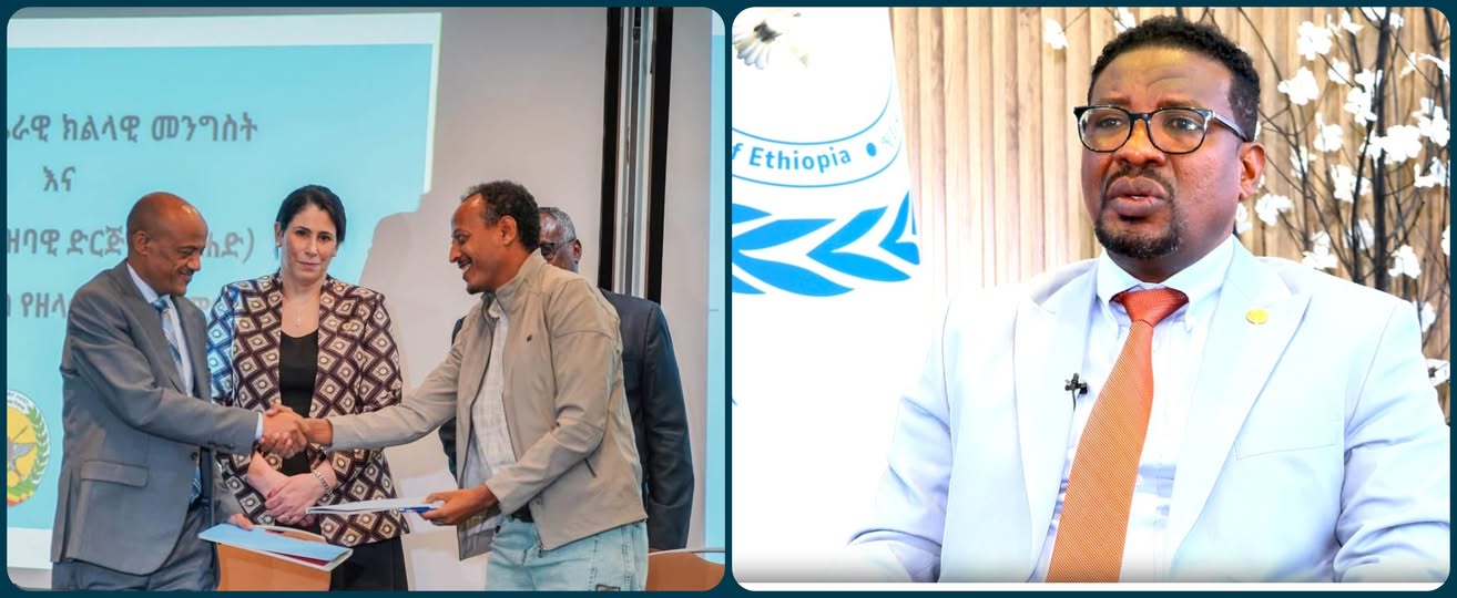 You are currently viewing ከሰላም የሚገኘው ትርፍ እልፍ ነው