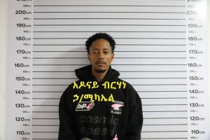 Read more about the article አዶናይ ብርሃነ ሀ/ሚካኤል በቁጥጥር ስር ዋለ