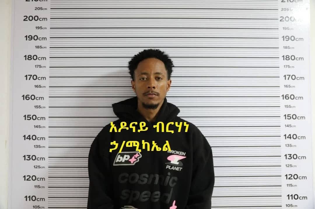 You are currently viewing አዶናይ ብርሃነ ሀ/ሚካኤል በቁጥጥር ስር ዋለ