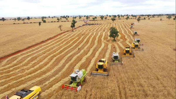 You are currently viewing የኢትዮጵያ የስንዴ ምርታማነት ሌሎች ሀገራትም ተሞክሮ ሊወስዱበት የሚገባ ነው