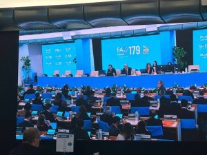 Read more about the article ኢትዮጵያ የዓለም የምግብ ፕሮግራም ኤክዝኪውቲቭ ቦርድ አባል ሆና ተመረጠች