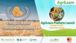 Read more about the article በአትዮጵያ የስንዴ ትራንስፎርሜሽን ጉዞ ላይ የተሠራ ፊልም ተመረቀ