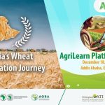 Read more about the article ኢትዮጵያ በስንዴ ምርት አስደናቂ እድገት እያስመዘገበች መሆኗን የእስራኤል ምክትል አምባሳደር ገለጹ