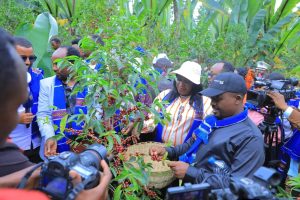 Read more about the article የኢትዮጵያን ቡና በዓለም አቀፍ የቱሪዝም ገበያ እንደ ዋና የቡና እና የባህል መዳረሻ ለማስቀመጥ ያለመ ጉብኝት እየተደረገ ነው