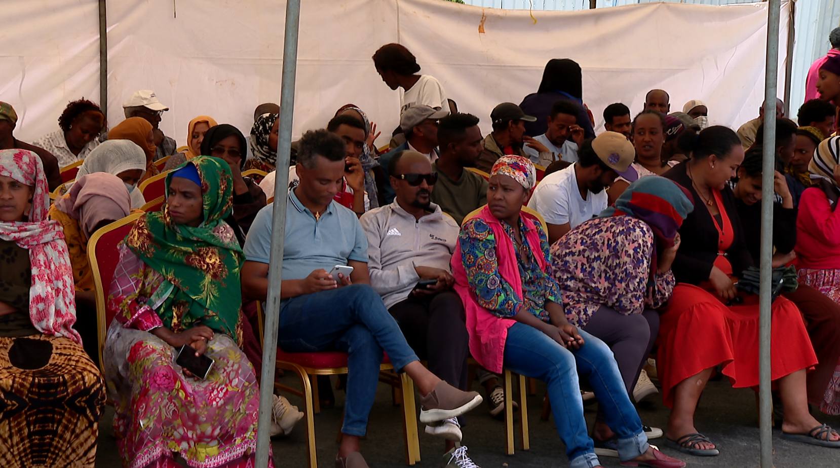 You are currently viewing ከ8 ሺህ በላይ የእርባታ ዶሮዎች ለነዋሪዎች ድጋፍ ተደረገ