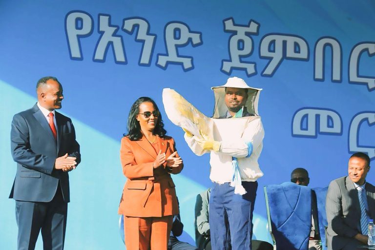 የአንድ ጀምበር ፍሬዎች