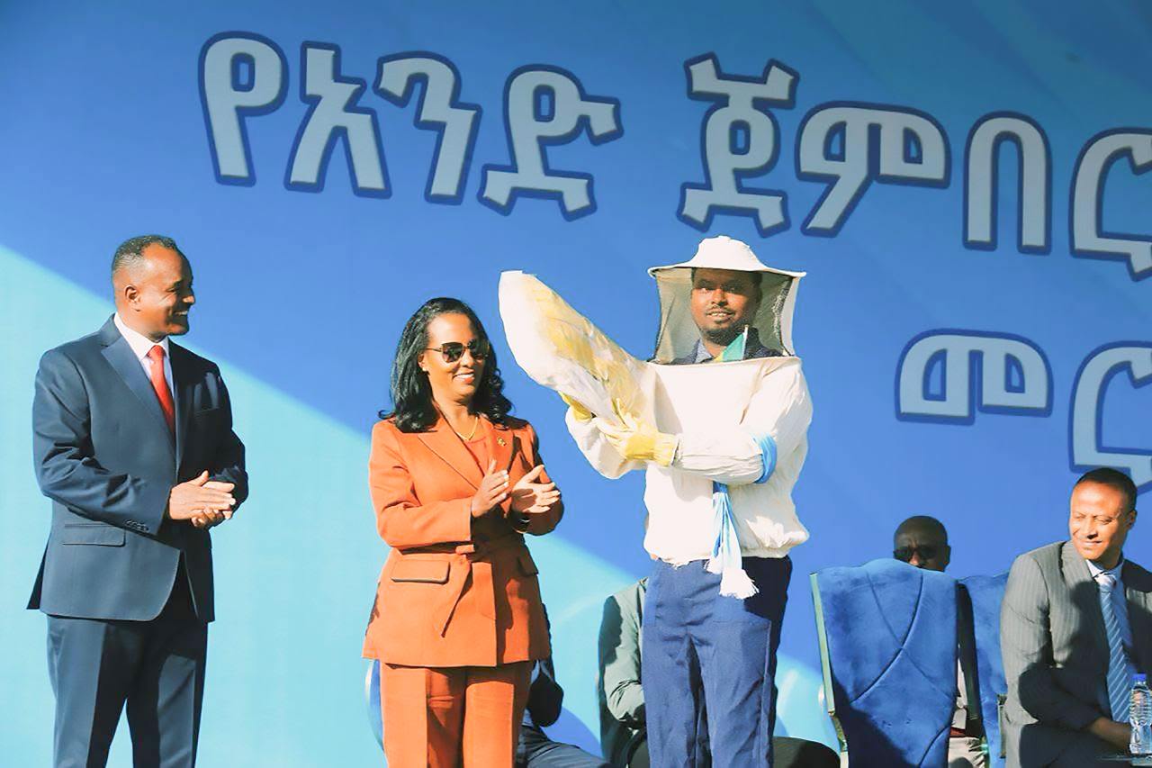 You are currently viewing የአንድ ጀምበር ፍሬዎች