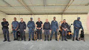 Read more about the article የኢትዮጵያ ፌደራል ፖሊስ የፖሊስን ሥራ በከፍተኛ ደረጃ የሚያግዙ K9 አነፍናፊ ውሾችን ከእስራኤል ፖሊስ በድጋፍ አገኘ