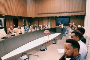 Read more about the article የአዲስ አበባ ከተማ አስተዳዳር አዲስ የአካባቢ ልማት ጥናት / LDP/ ላይ ተወያይቶ አጸደቀ