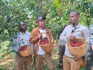 Read more about the article ኢትዮጵያ ያላትን ከፍተኛ የቡና ሃብትና ታሪካዊ ቁረኝት ለዓለም በማስተዋወቅ ረገድ የሚዲያው ድርሻ ከፍተኛ ነው