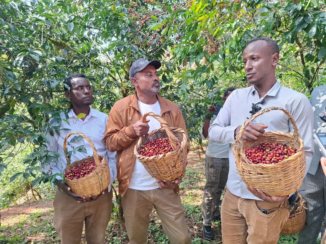 You are currently viewing ኢትዮጵያ ያላትን ከፍተኛ የቡና ሃብትና ታሪካዊ ቁረኝት ለዓለም በማስተዋወቅ ረገድ የሚዲያው ድርሻ ከፍተኛ ነው