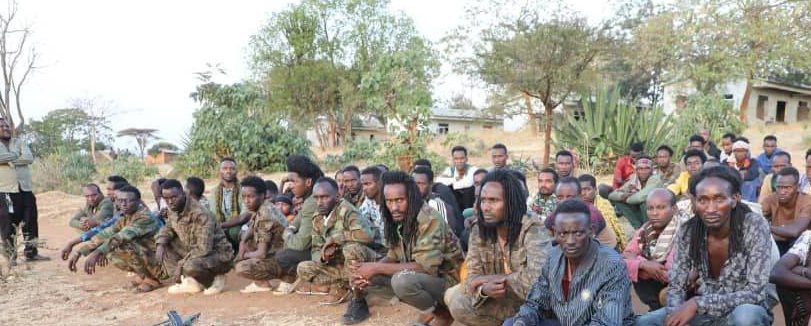 You are currently viewing ሰማንያ የሽብር ቡድኑ አመራርና አባላት እጅ ሰጡ