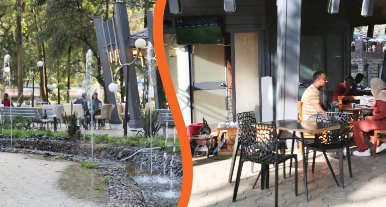 አዕምሮን የሚያድሱ መናፈሻዎች