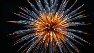 Read more about the article ከሙዚቃ ጋር ተዋህደዉ በከፍተኛ፣ በመካከለኛ እና በዝቅተኛ ከፍታ ላይ እንዲፈነዱ የሚደረጉ ሰማዩን ወደ ግዙፍ ሲኒማነት የቀየሩ የዘመኑ ርችቶች