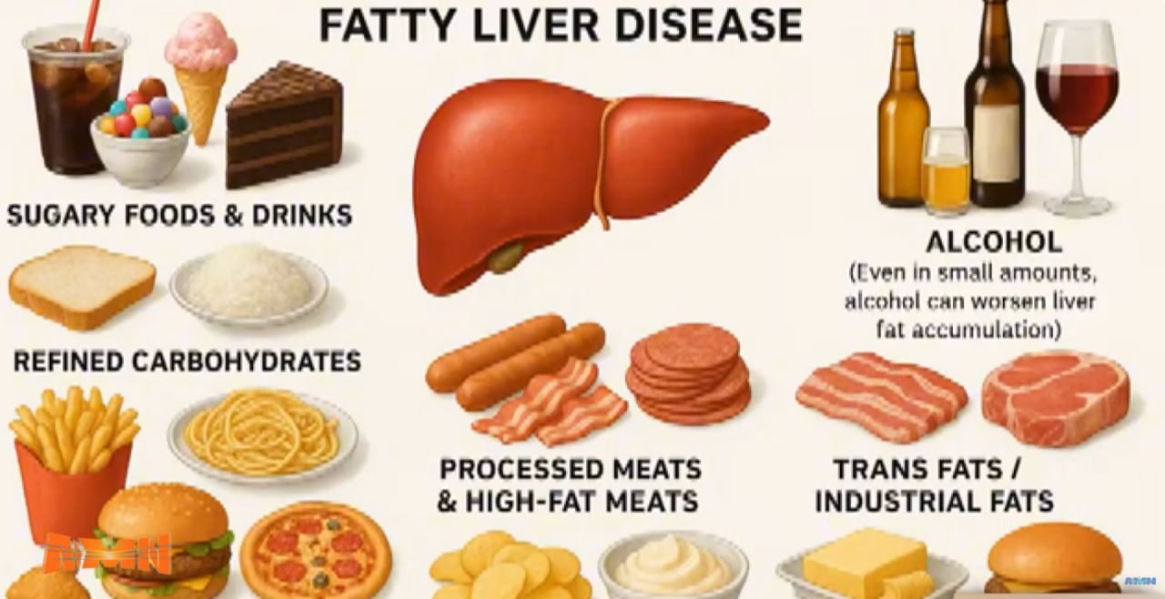 You are currently viewing የጉበት ስብ እንዴት ይፈጠራል? መንስኤዎቹና መፍትሄዎቹስ?