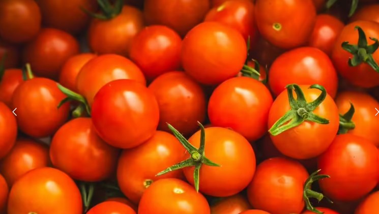 615352140_1345300037643366_7098540863400807419_n