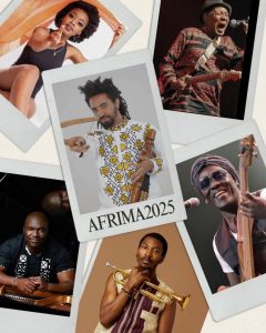 Read more about the article በአፍሪካ መድረክ ያበራው ኮኮብ – ሃዲስ ዓለማየሁ የማሲንቆው አናዛዥ