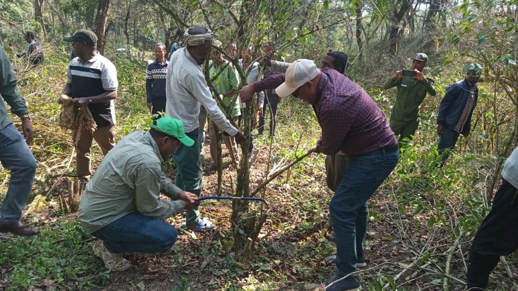 615973335_1347541627419207_4810465691177959302_n