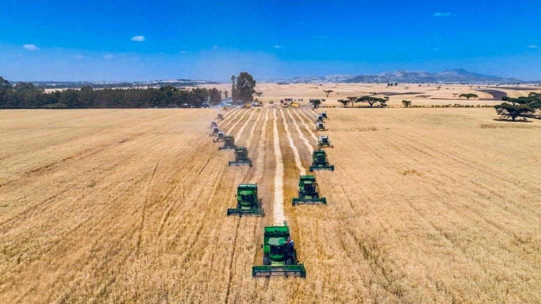 You are currently viewing የኢትዮጵያ የስንዴ ልማት መርሐ-ግብር ሀገሪቱን በምግብ ራስን ወደመቻል ለምታደርገው ጉዞ ወሳኝ ምዕራፍ እያስመዘገበ መሆኑን ጠቅላይ ሚኒስትር ዐቢይ አሕመድ (ዶ/ር) ገለጹ