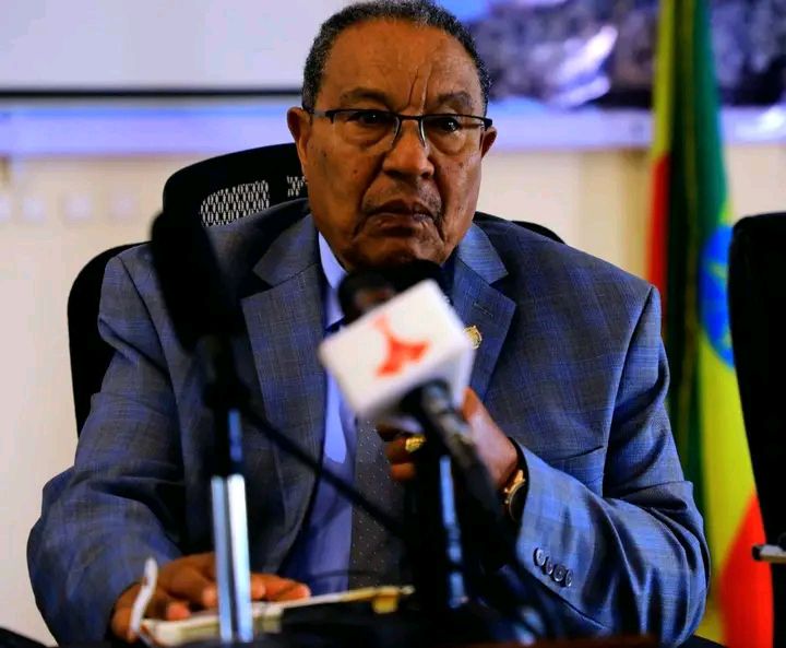 You are currently viewing ኢትዮጵያ ብሔራዊ ጥቅሟን እንድታስከብር ሁሉም በአንድነት ሊቆም እንደሚገባ ጥሪ ቀረበ